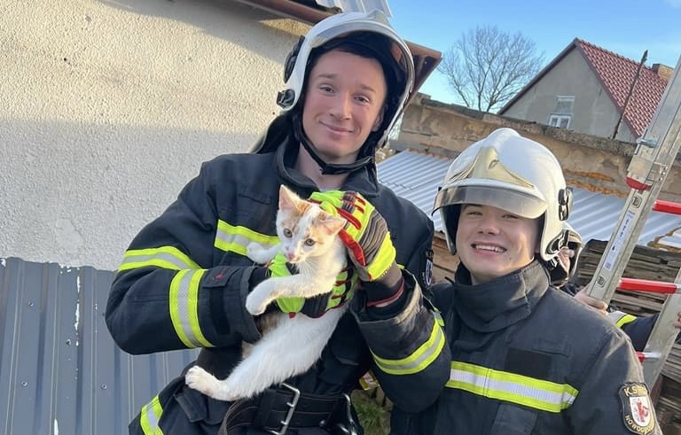  Strażacy uratowali kotka