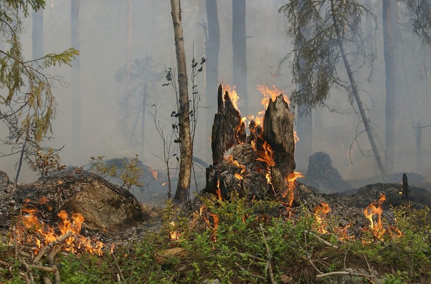  Powiat lwówecki: zagrożenie pożarowe
