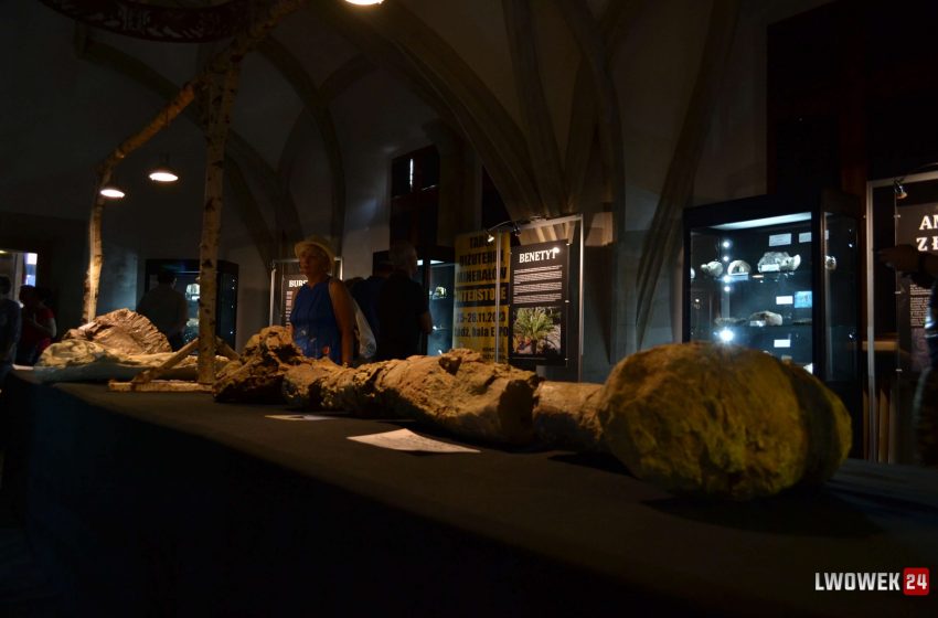  Fascynujące wystawy Lata Agatowego – Minerały, kości i jaja dinozaura.