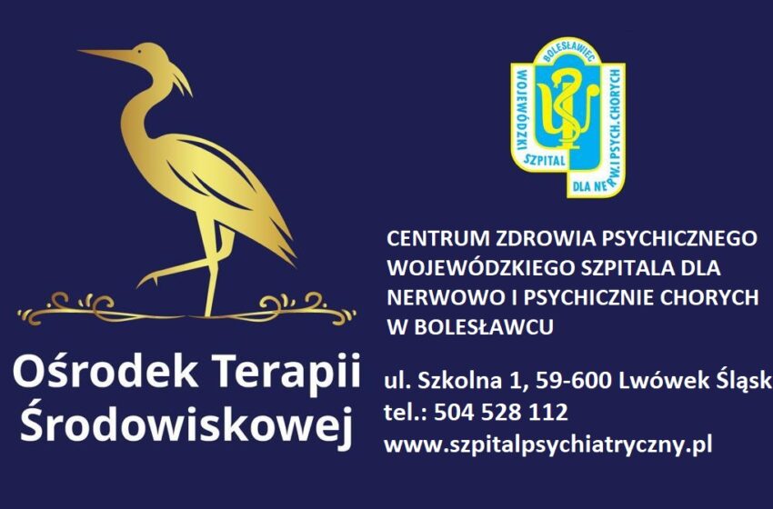  Bezpłatna pomoc psychologiczna w Lwówku Śląskim