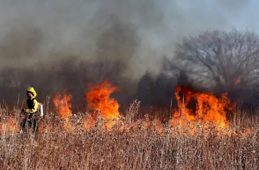  Zagrożenia wypalania traw: Apel o odpowiedzialność wiosną