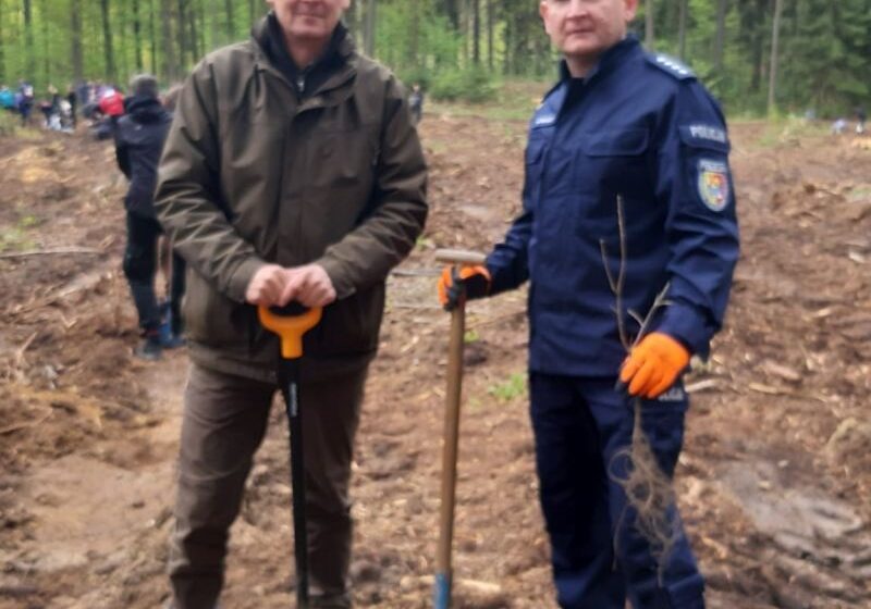  Kadra kierownicza lwóweckiej policji wspiera sadzenie lasu