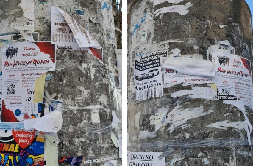 Niszczenie plakatów wydarzenia w Lwówku. Organizatorzy: „brak szacunku dla wolontariuszy”