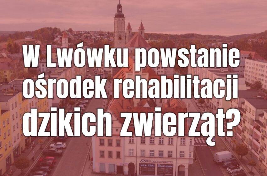  W Lwówku Śląskim powstanie ośrodek rehabilitacji dzikich zwierząt?