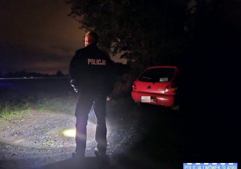  Seria zaginięć na terenie powiatu lwóweckiego – policjanci apelują o rozwagę