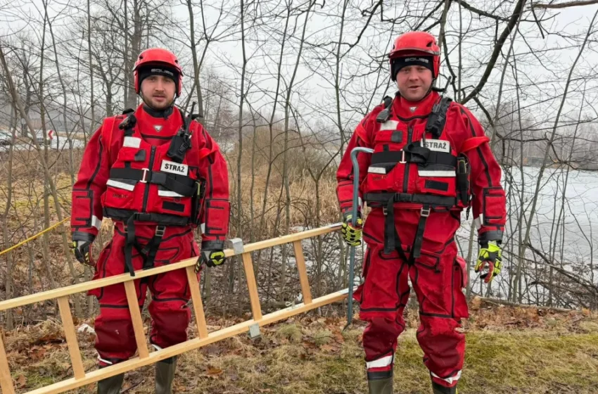  Strażacy uratowali łabędzia uwięzionego na lodzie