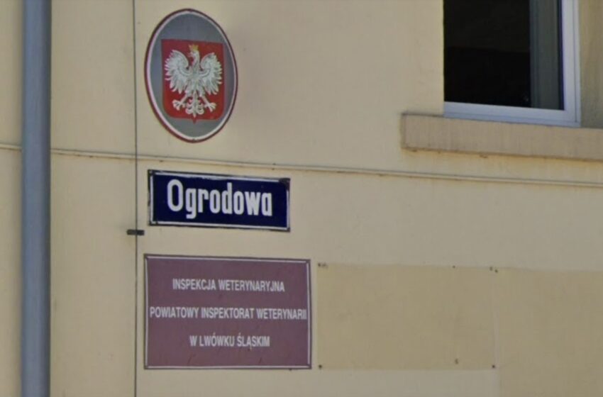  Powiatowy Lekarz Weterynarii w Lwówku Śląskim – odwołana. Czy ma to związek z wczorajszą akcją DIOZ?
