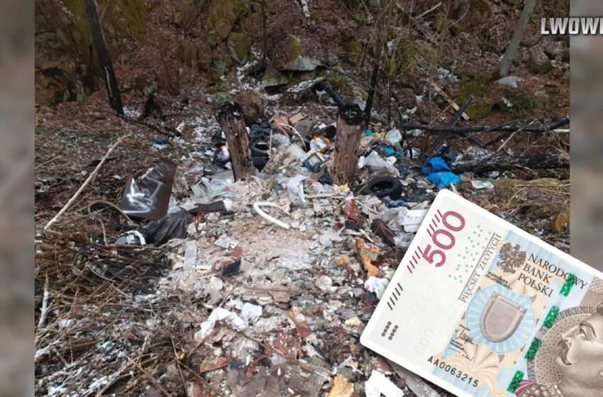  Ciąg dalszy: Nielegalne składowisko w Zbylutowie. Teren nieposprzątany, sprawca dostał 500 zł mandatu