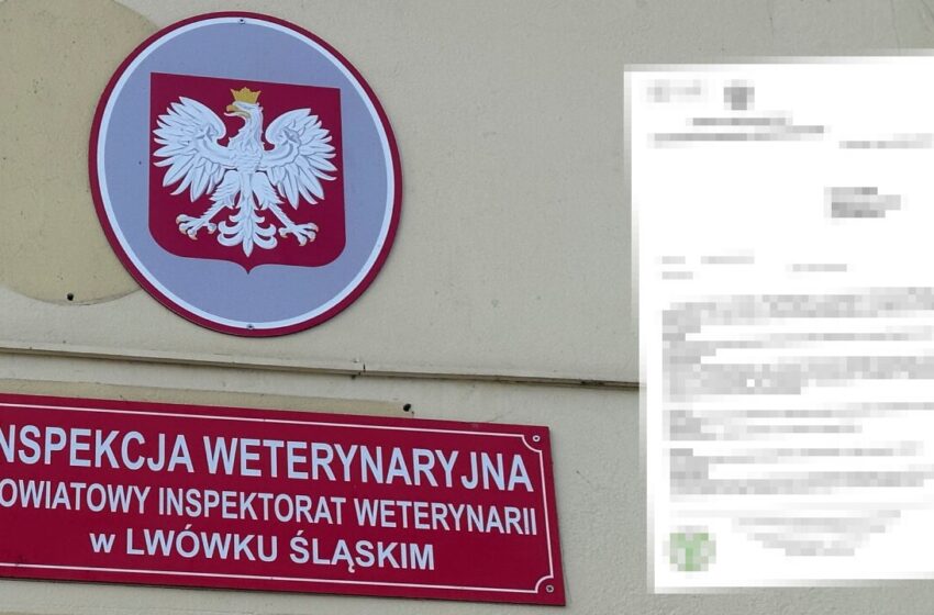  Oficjalnie wiadomo, dlaczego odwołano Powiatową Lekarz Weterynarii. Odpowiedź zaskoczy wszystkich