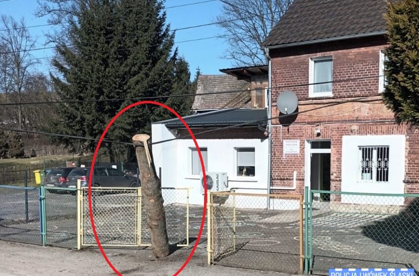  O krok od tragedii – scena jak z „Oszukać przeznaczenie” przy szkole w Rząsinach