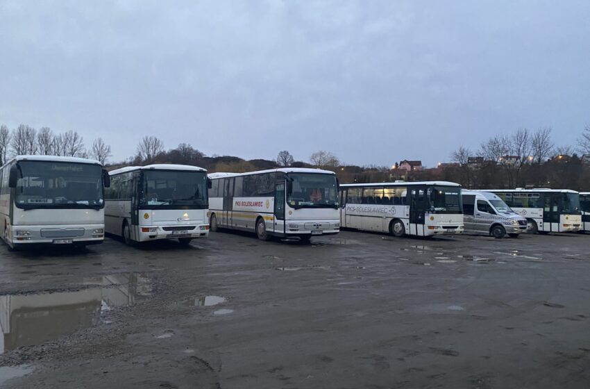  Linia 217 powraca – Lubań – Gryfów Śląski – Siedlęcin