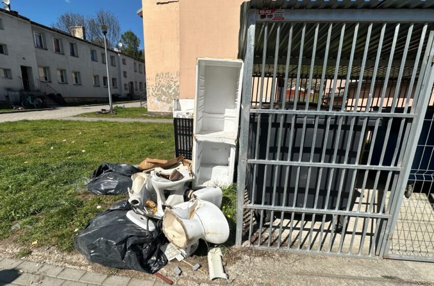  Sedesy i lodówki pod wiatą śmietnikową. Dlaczego mieszkańcy ignorują zasady wywozu śmieci?
