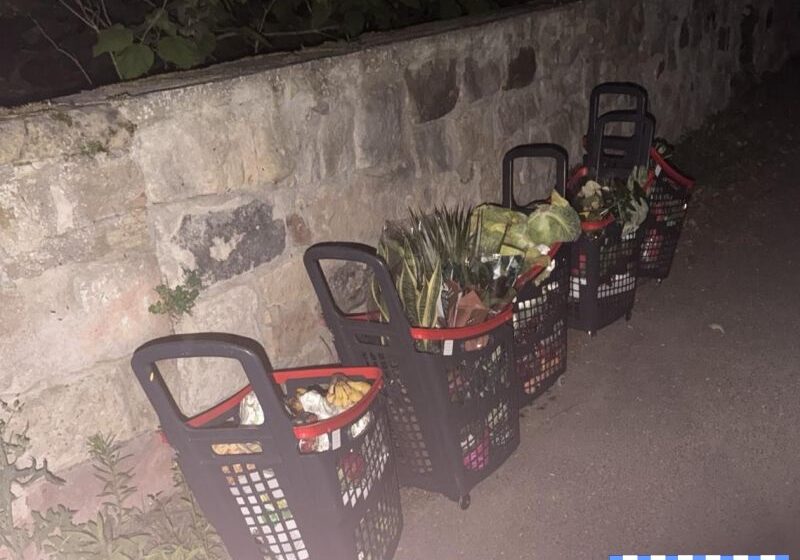  Nieudana próba kradzieży we Wleniu. 30-latek ukrywał się w trawie