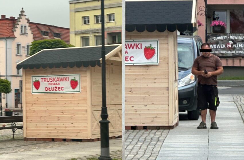  Słodki biznes na gminnym mieniu? Przez truskawki radny może stracić mandat