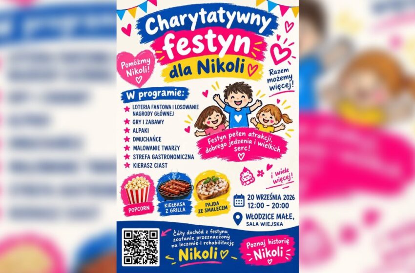  Charytatywny festyn dla Nikoli. W Włodzicach Małych zaplanowano dzień pełen atrakcji