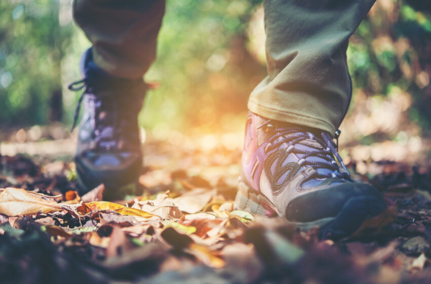 Jak wybrać obuwie trekkingowe? Dopasuj buty do trasy i warunków